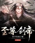 至尊剑帝叶青下载
