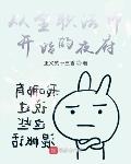 从全职法师开始的夜府免费阅读