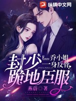 乔小姐有点神秘小说