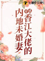 穿成香江大佬的内地未婚妻小说