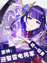 原神稻妻城雷电将军怎么打