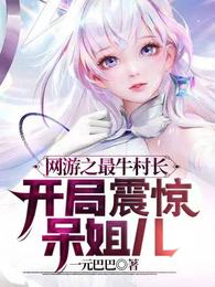 网游之村官故事 小说