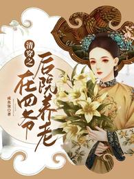 清穿四爷后院的小说大全