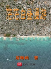 茫茫白昼漫游全本