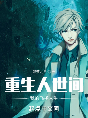 小说飞扬人生