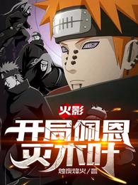 木叶:开局质问佩恩晓组织覆灭的