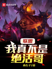 我真的不是敌联盟