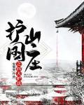 王权山庄四大护法