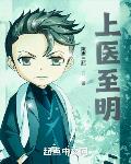 上医至明TXT精校版