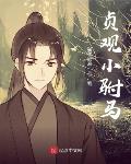 贞观驸马爷苏牧咸鱼系统