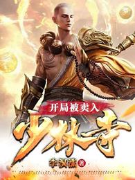 武侠:开局打出少林寺