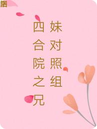 四合院之兄妹对照组笔趣阁